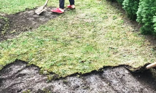 Снятие дерна старого газона в Надыме – от 513 руб. | 2Землекопа-Ндм